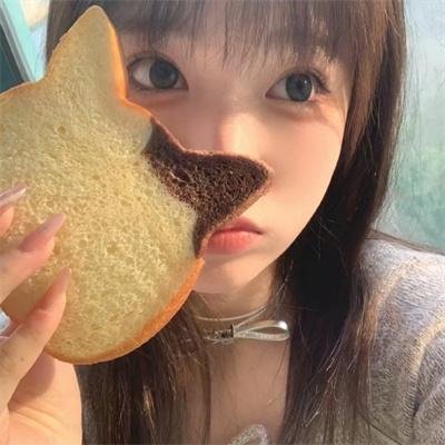 飞蛾日记